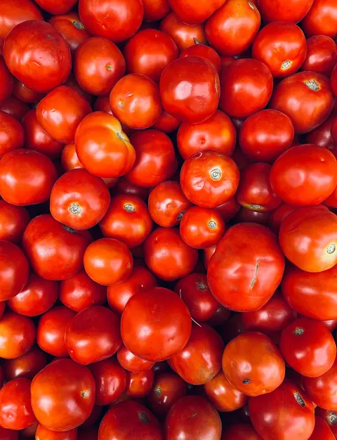 Tomato