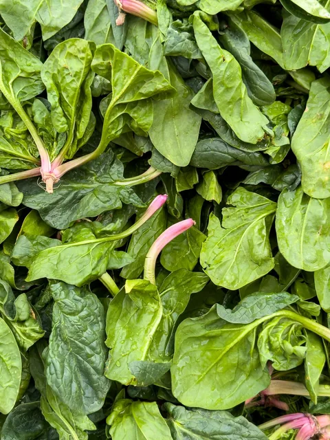 Spinach