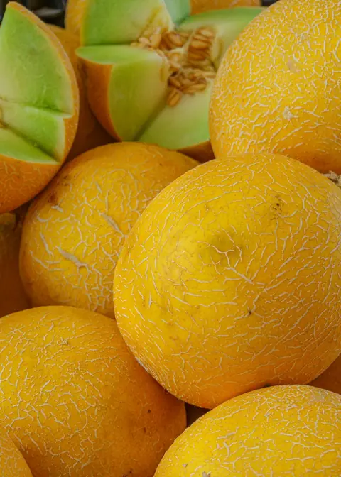 Melon