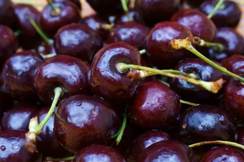 Cherry